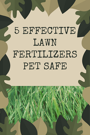 Lawn Fertilizer Pet Safe