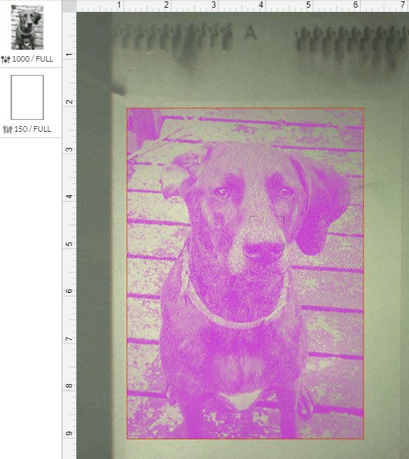 Dog Engraving Image in Glowforge Software App
