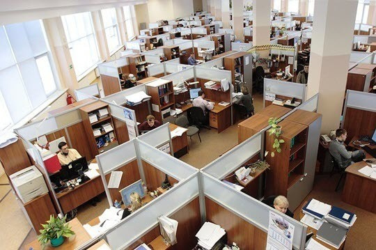 Lots of Business Cubicles