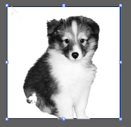 Puppy image embedded in vector shape