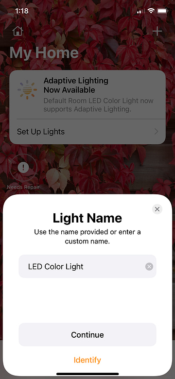LED Strip Light Project Connecting Homebridge to My Home Add Light Name
