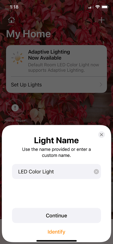 LED Strip Light Project Connecting Homebridge to My Home Add Light Name