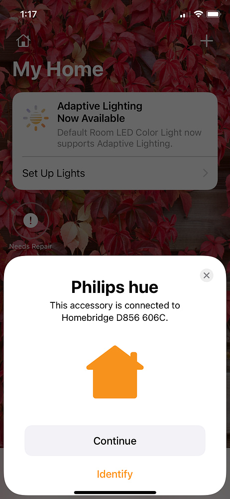 Connecting Homebridge to My Home Add the Philips Hue