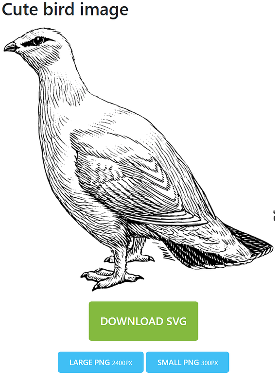 Cute Bird SVG Image