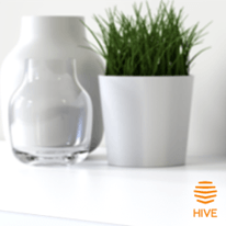 Hive Home - Control your home from the palm of your hand