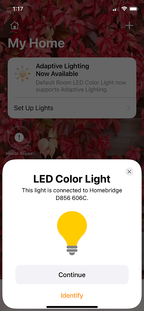 Connecting Homebridge to My Home Add LED Color Light