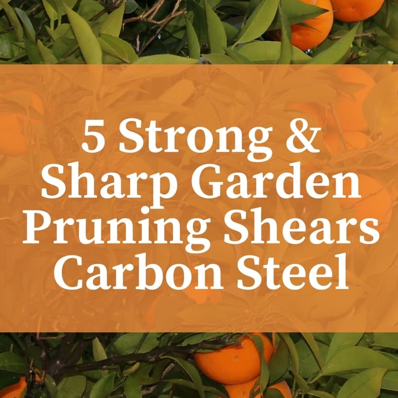 Garden Pruning Shears Carbon Steel